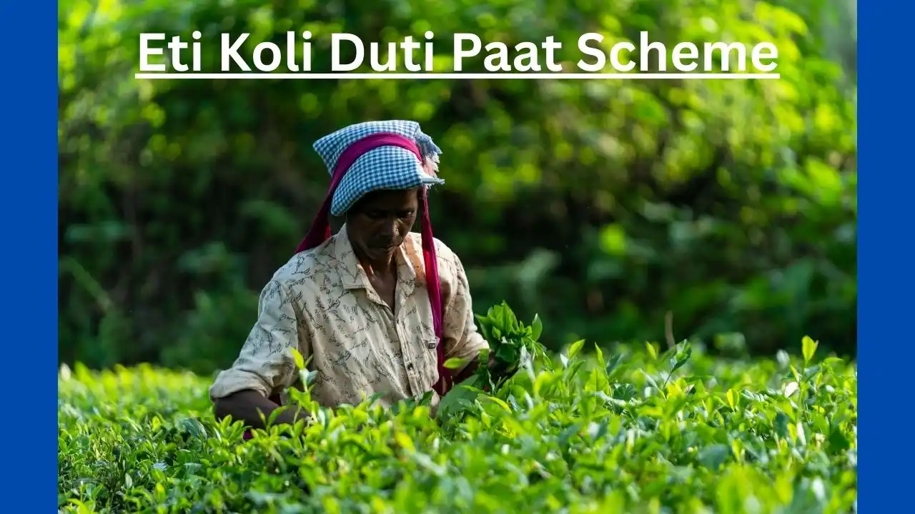 Assam Eti Koli Duti Paat
