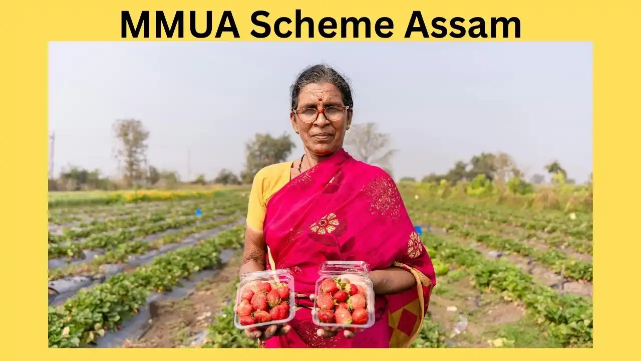 Mukhyamantri Mahila Udyamita Abhiyan