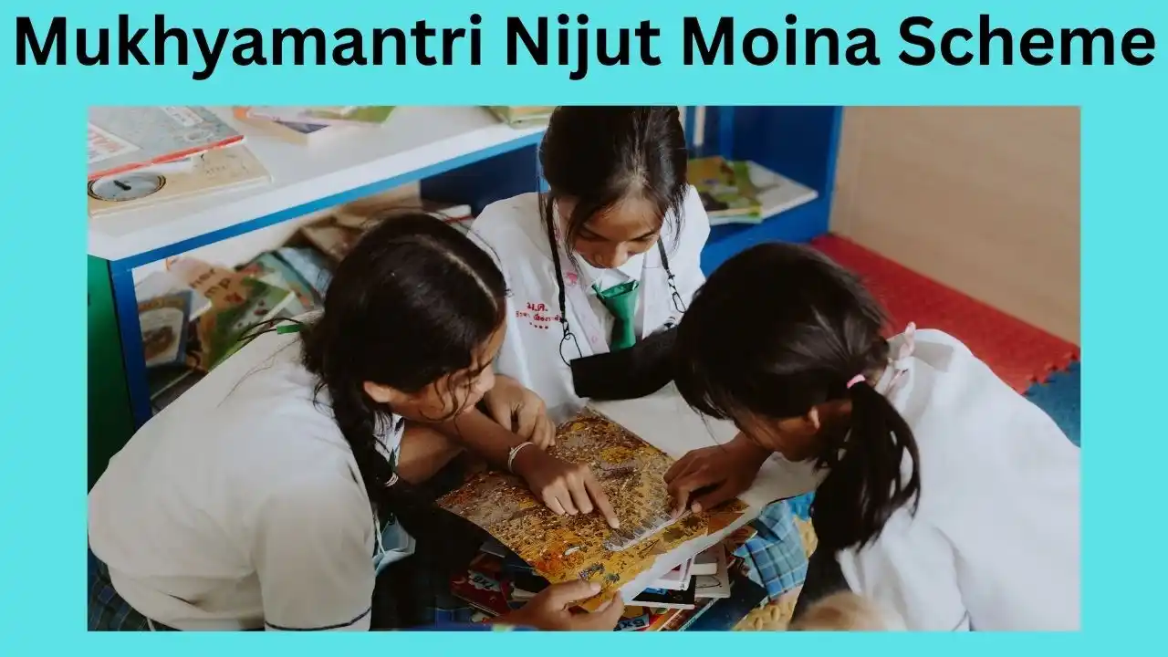 nijut moina asoni