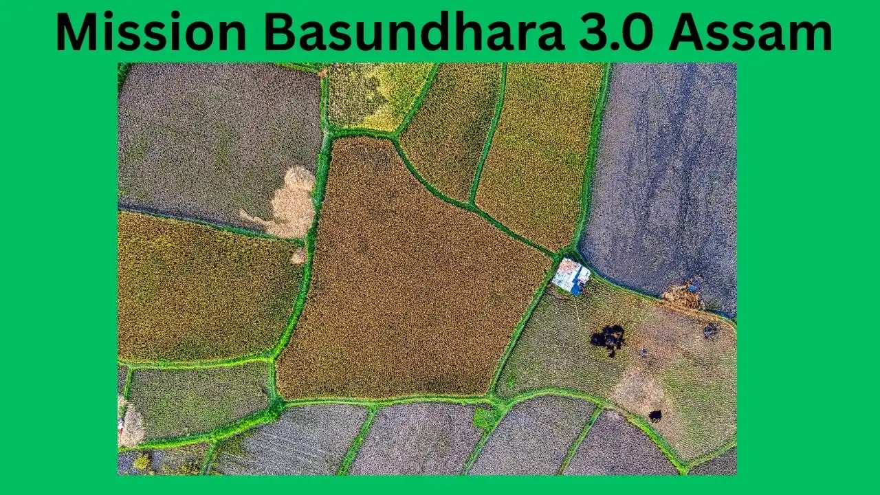 Mission Basundhara 3.0