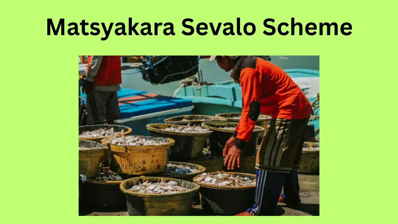 Matsyakara Sevalo status