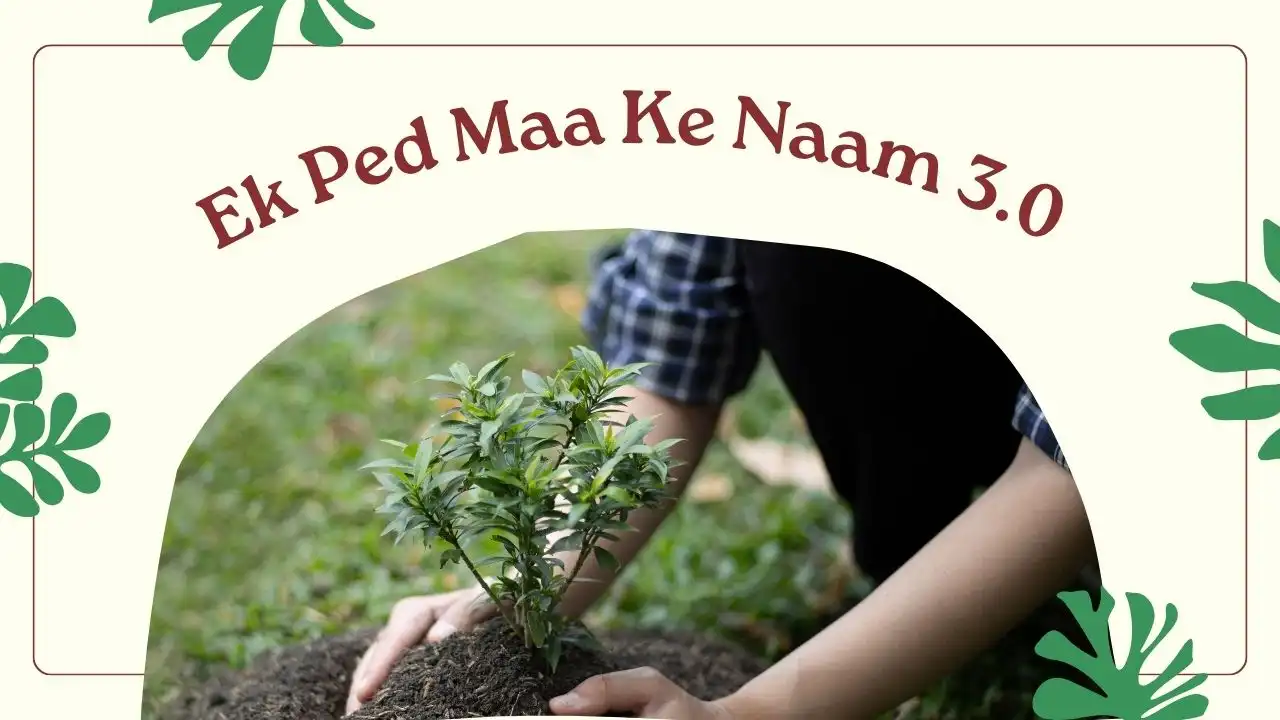 Ek Ped Maa Ke Naam 3.0