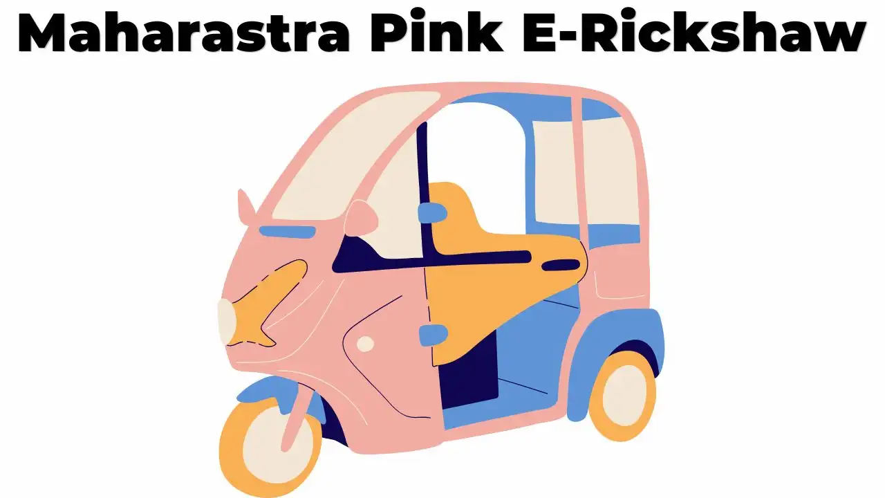 Women Pink E-Rickshaw